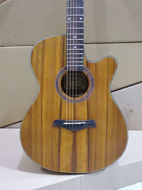 Gitar Akustik Elektrik Merk Camwood Original Tipe IWC-235 NSK EQ TUNER Murah Jakarta