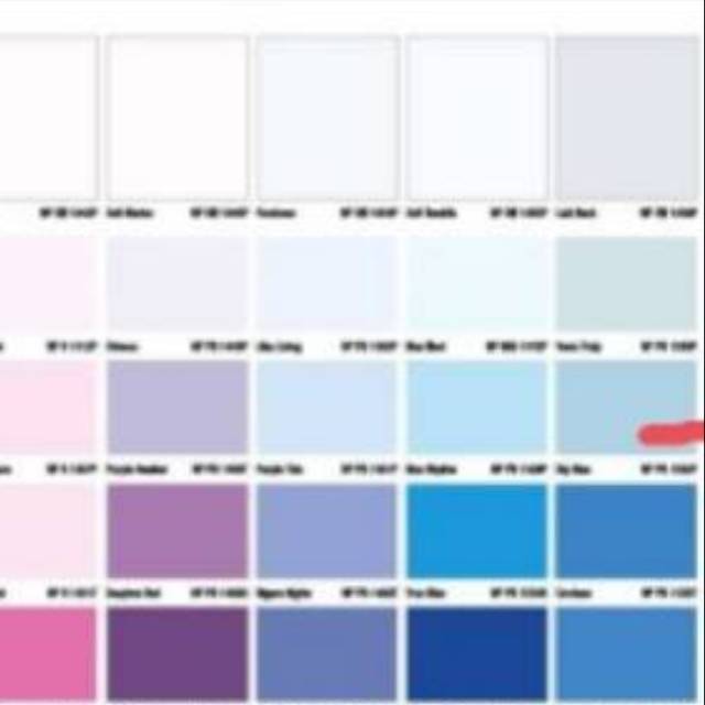 Cat Nippon  Paint  Flawless Khusus warna  Sky Blue Shopee 