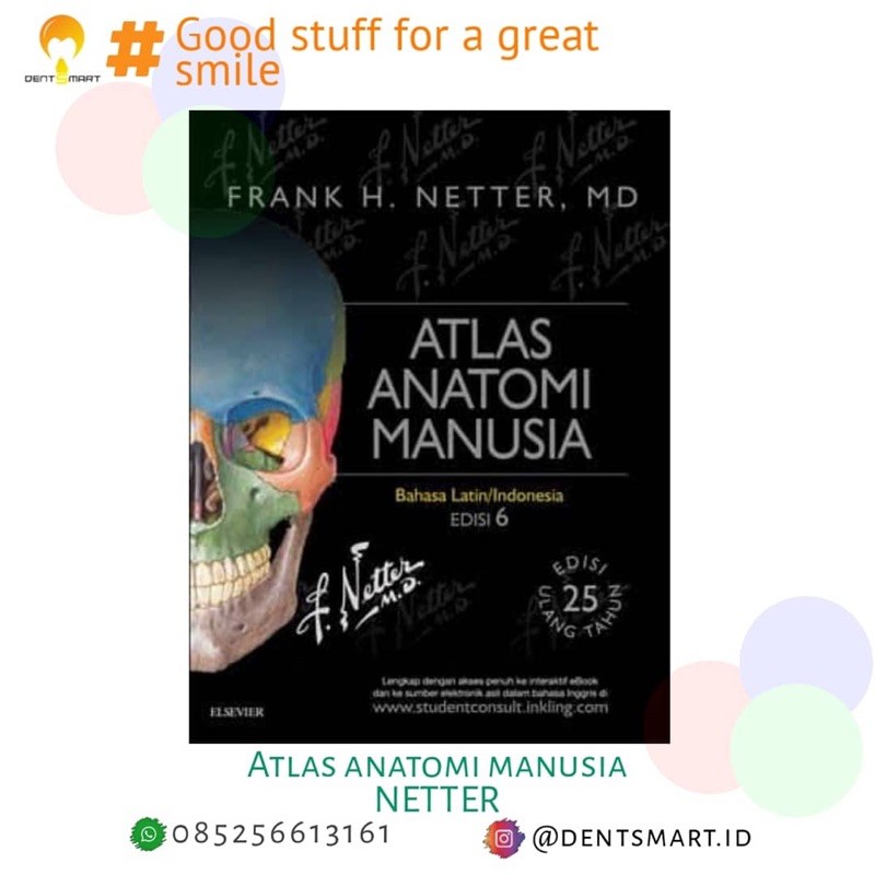 Atlas Anatomi Netter Ed 6