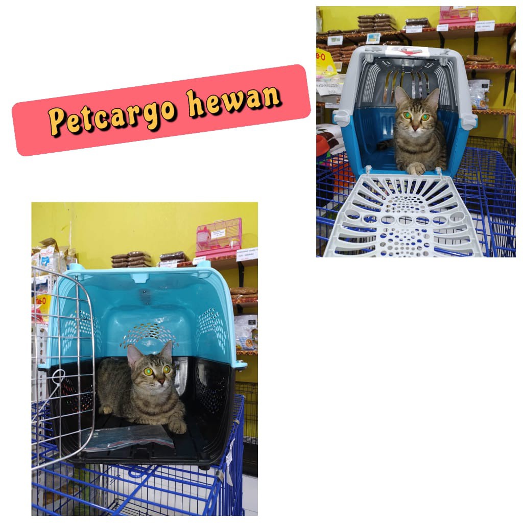 PET CARGO CARRIER PETOPIA HEWAN KUCING DAN ANJING