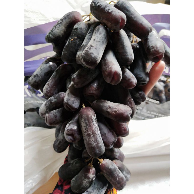 Buah Anggur Hitam Moondrop Sweet Saphire 1kg / Buah anggur hitam tanpa biji