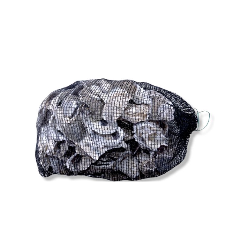 Media Filter KERANG OYSTER 2KG