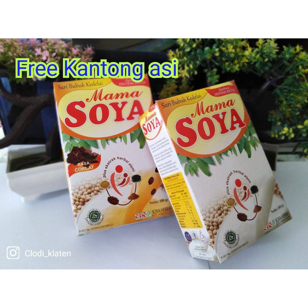 Mama Soya Busui Susu Bubuk Kedelai Pelancar ASI Booster [gratis kantong asi]