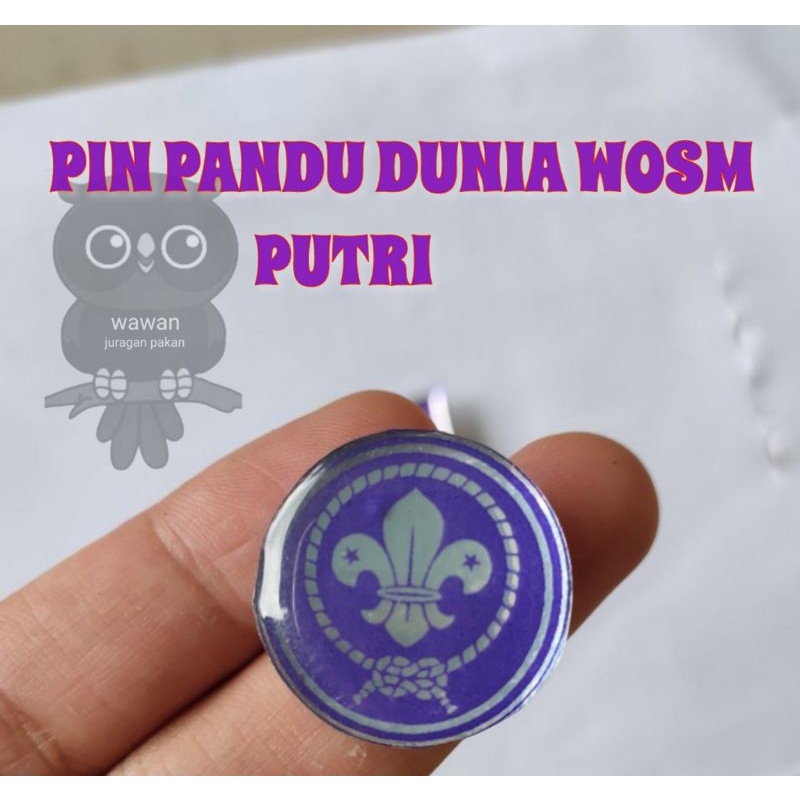 PIN TUNAS KELAPA &amp; PIN PANDU DUNIA WOSM PERLENGKAPAN PRAMUKA, BROSS KITRI