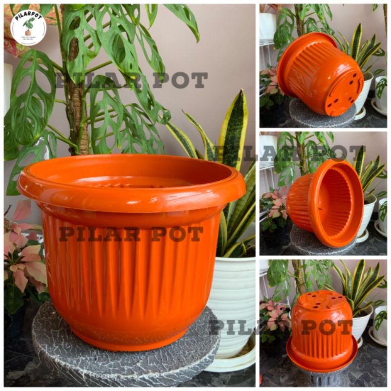 pot bunga tanaman plastik GL Flamboyan 35 kuping - FLAMBOYAN 35 MERAH BATA