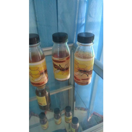 

madu hutan 100 ml