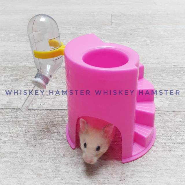 Tempat makan tempat minum dan rumah hamster 3 in 1