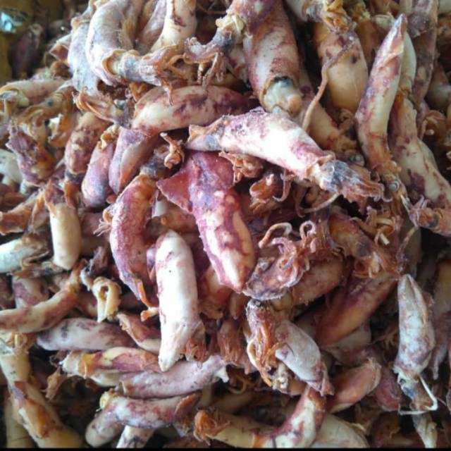 

Cumi sotong kering asin 100gr