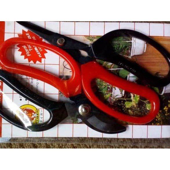 

★Termurah★ Gunting Tiger 2pcs/ Gunting Tanaman/Gunting Bunga ✵
