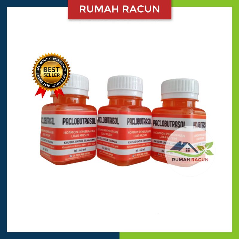 ZPT PACLOBUTRAZOL HORMON PEMBUAHAN DI LUAR MUSIM
