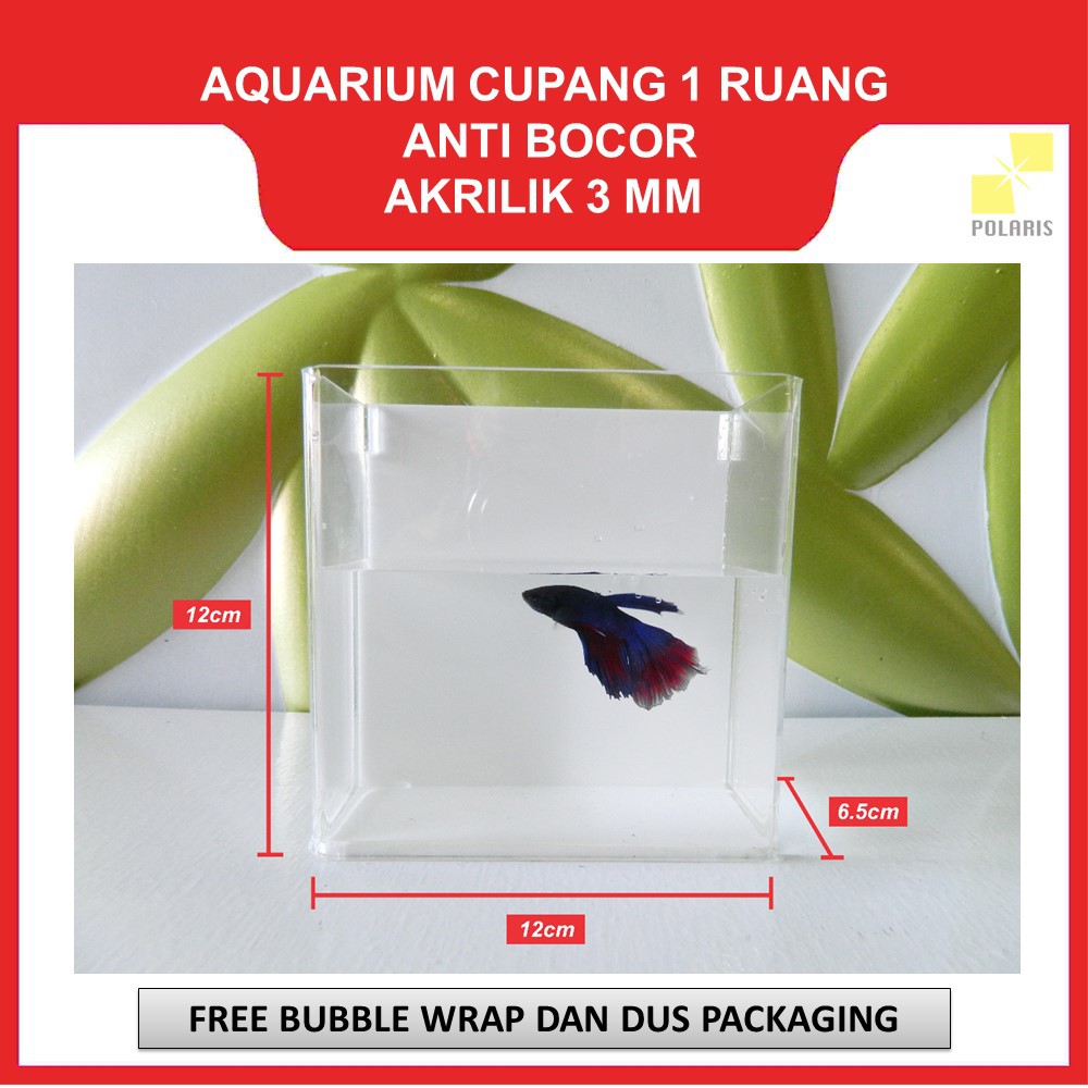 AKUARIUM IKAN CUPANG AKRILIK / AQUARIUM ACRYLIC IKAN HIAS / SOLITER IKAN CUPANG