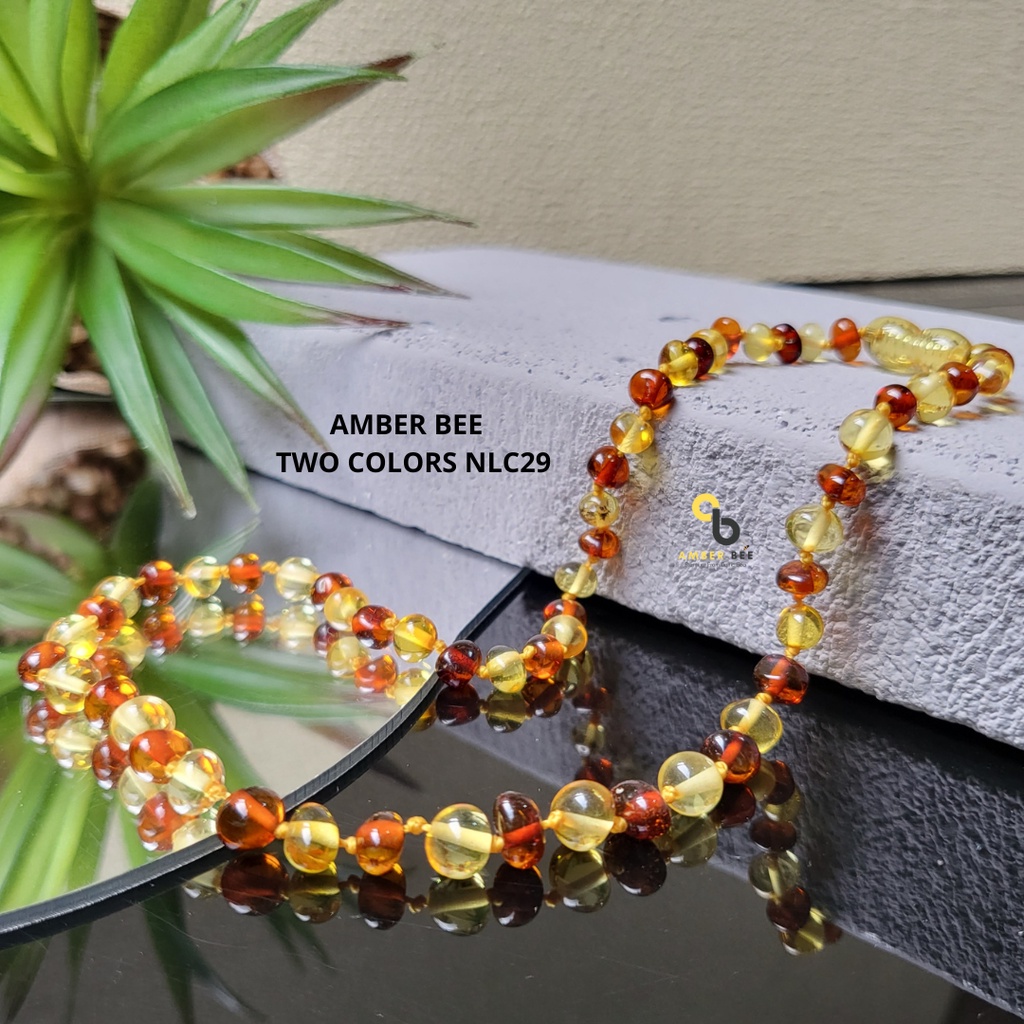 Kalung Anak Amber Premium Glossy Lime Cognac BGLC29 By Amber Bee