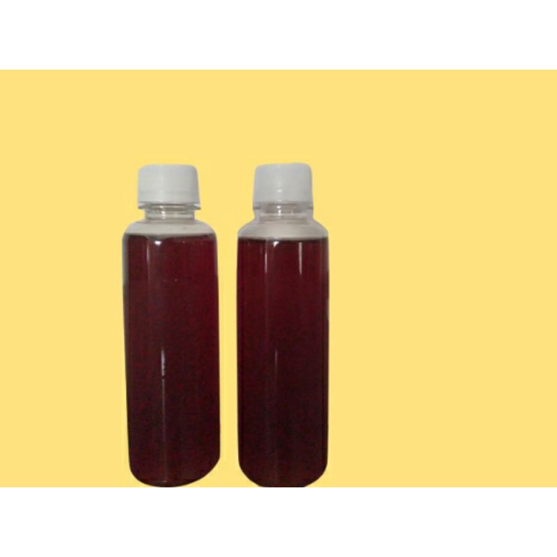 

Madu Ternak Klanceng 250 ml | Madu Lanceng | Madu Trigona | Madu Kelulut | Madu Asli Murni 100% dari peternak