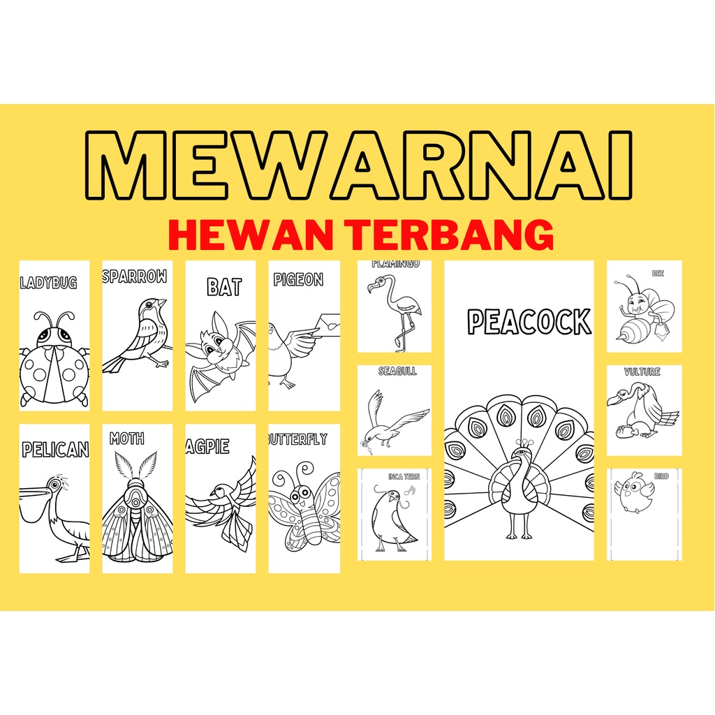 

{r_PRINT} ISI 15 LEMBAR Mewarnai hewan terbang | Macam-MACAM BURUNG | FLY ANIMALS