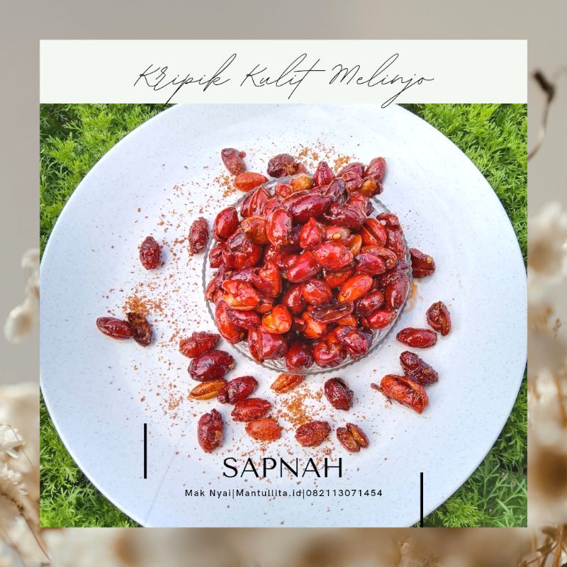 

Kripik Kulit Melinjo (SAPNAH)