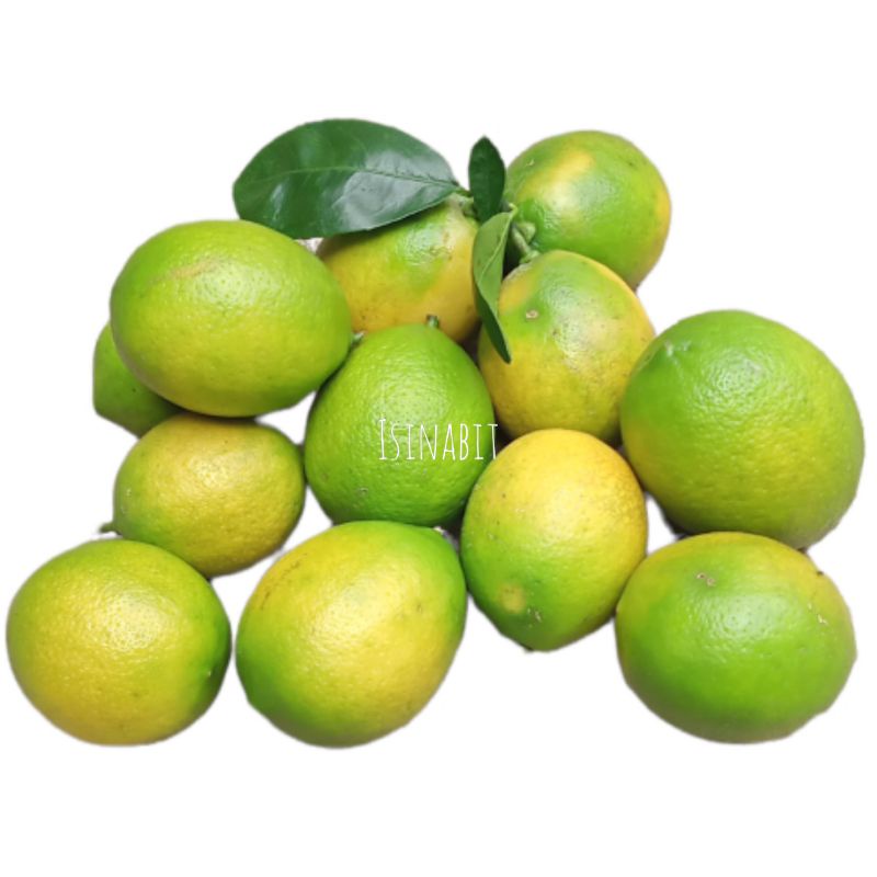 

Jeruk Lemon California Fresh 1Kg