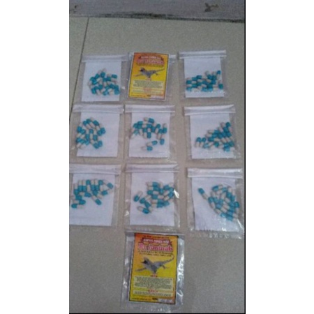 

Kapsul Tokek Asli Bu aminah