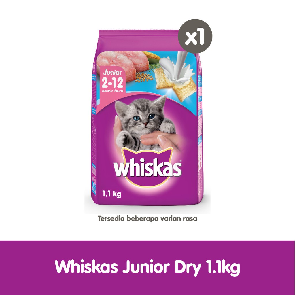 WHISKAS® Makanan Kucing Kering Junior 1.1kg