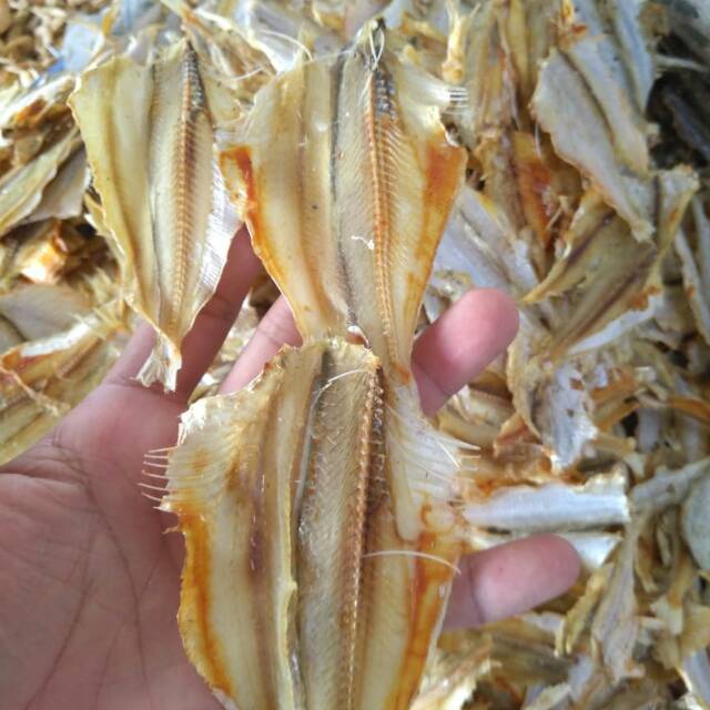 

Ikan kresek belah