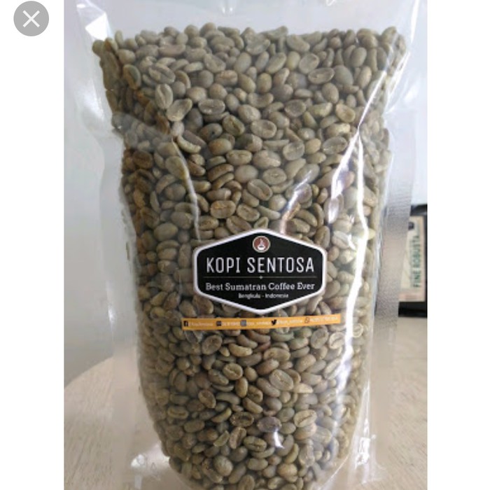 

biji kopi luwak bengkulu