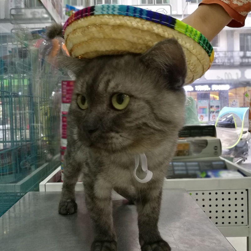 Topi Jerami Multi Warna untuk Anjing / Kucing