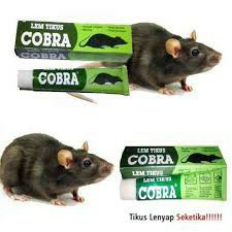 LEM TIKUS COBRA / PEREKAT /1 PCS