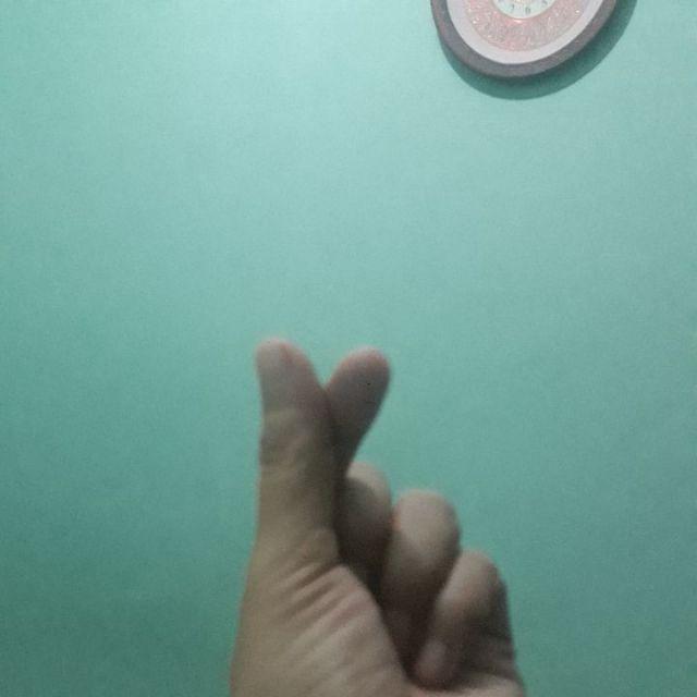 Gorden Motif Blazer Plant Tosca Gorden Jendela Gorden Pintu Gorden Minimalis