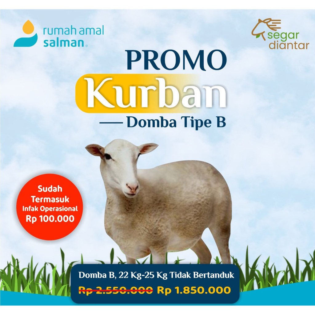 Kurban Domba B Promo Hewan Diantar 1442 H/2021