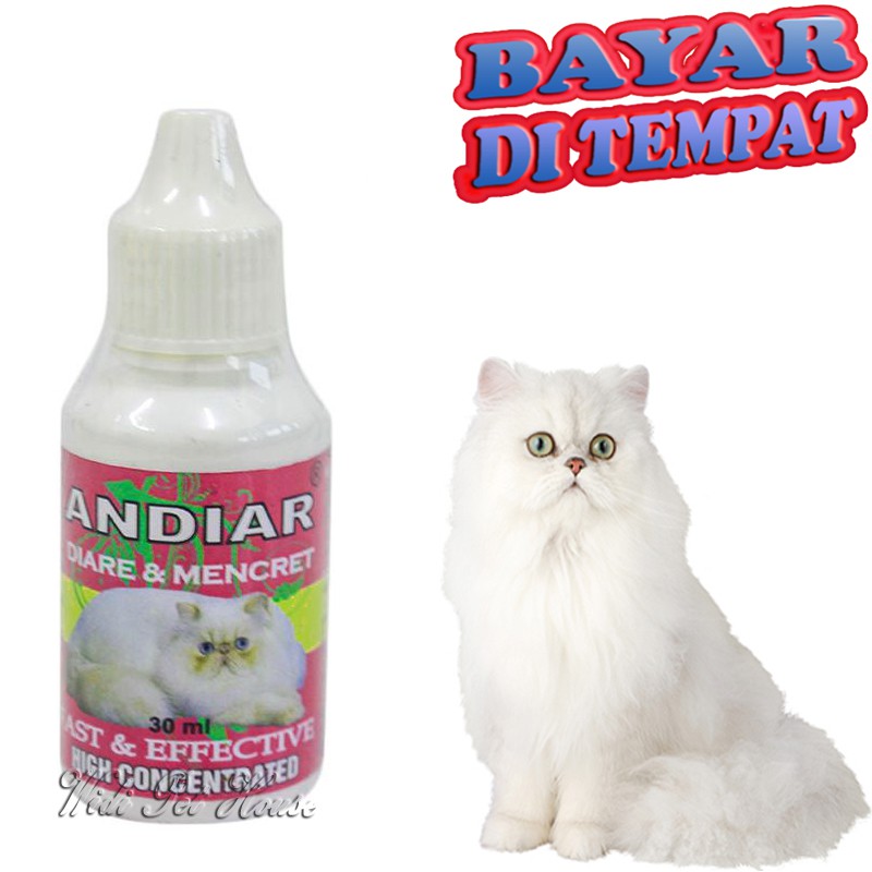 Obat Mencret Kucing ANDIAR Sakit Perut Diare