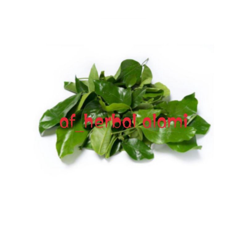 

Daun melinjo/tangkil 200g
