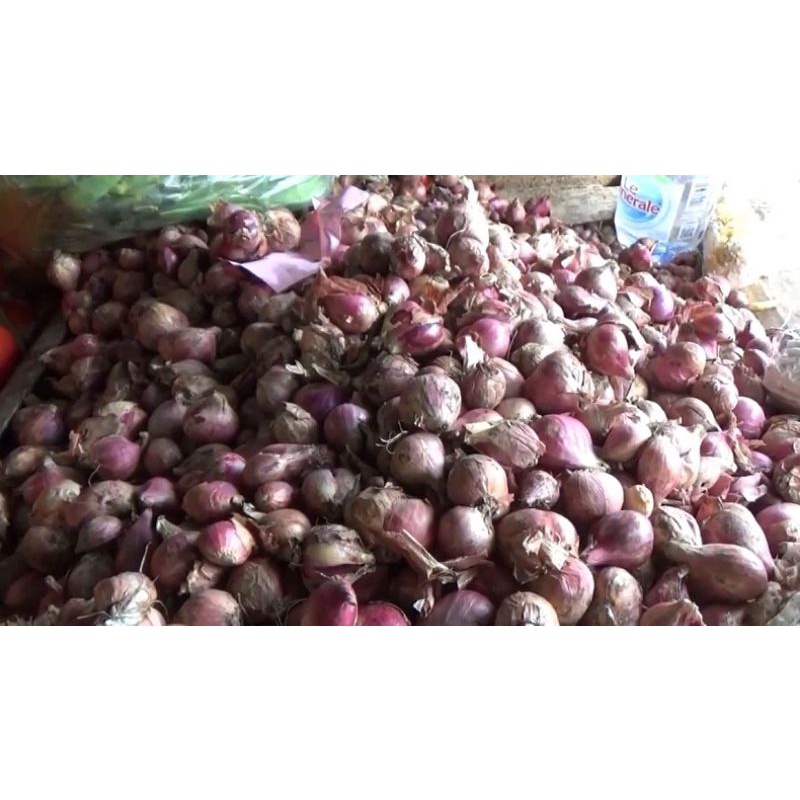 

Bawang Merah Solok/ Padang 500 gram