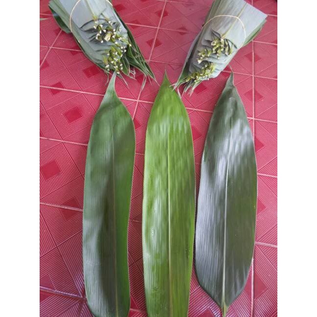 

Daun Bambu Segar Fresh Untuk Kesehatan dan Bungkus Bakcang