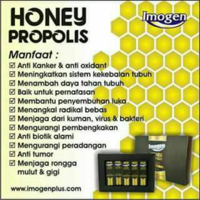 IMOGEN PROPOLIS