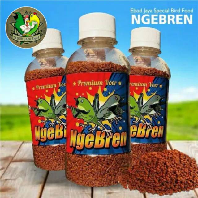 Ngebren Premium Voer Ebod Jaya Pakan Lomba Burung Ciblek Pleci Cendet Murai Dll