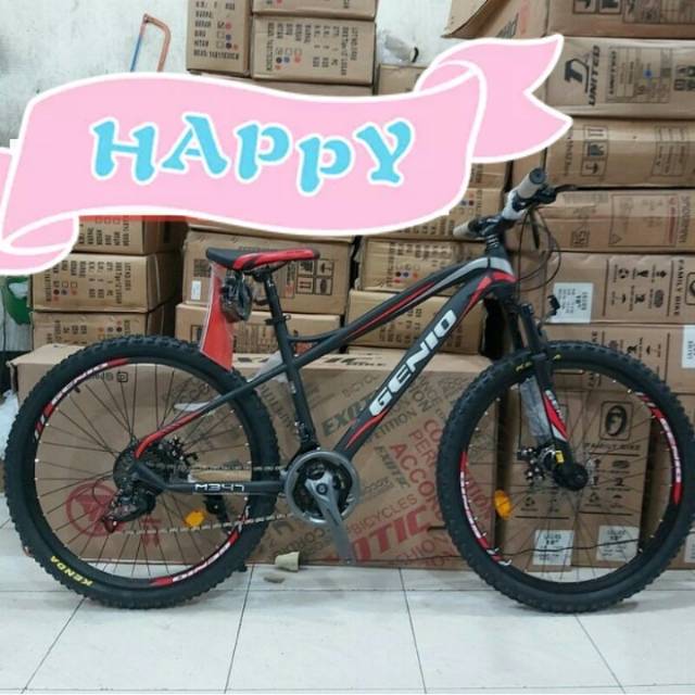 Sepeda MTB Genio 27.5 inch M347 inner cablle NEW