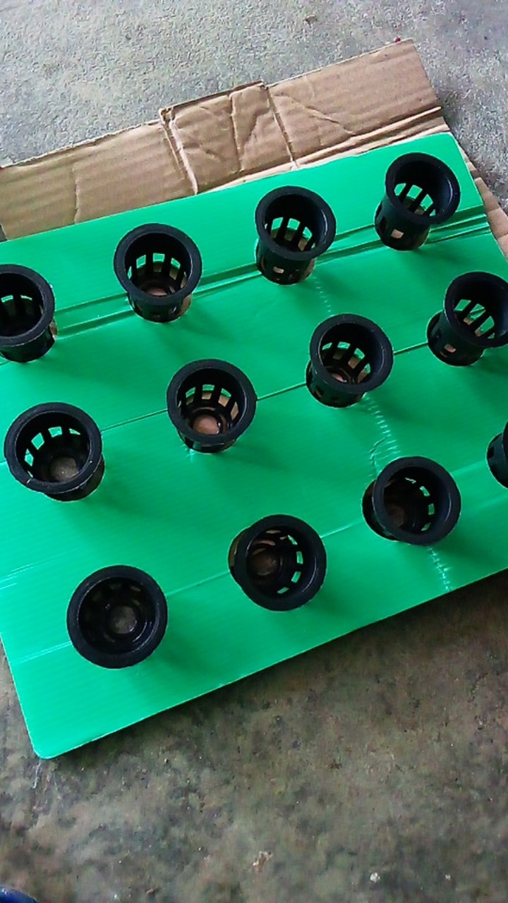 Tutup Bak Hidroponik / 12 Lubang Tanam / Impraboard