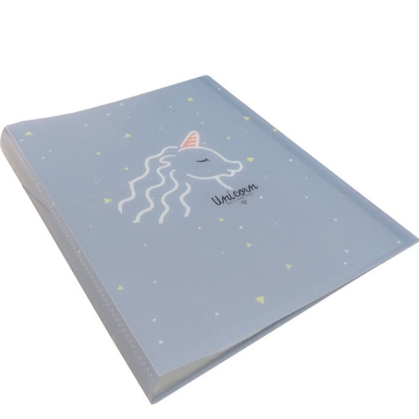 Bigzoo Display Book Clear Holder Map File Pocket A4 Isi 40 Lembar