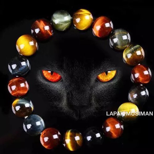 [Bayar di Tempat] GELANG BATU BIDURI SEPAH 3 WARNA MATA HARIMAU TIGER EYE ASLI ORIGINAL