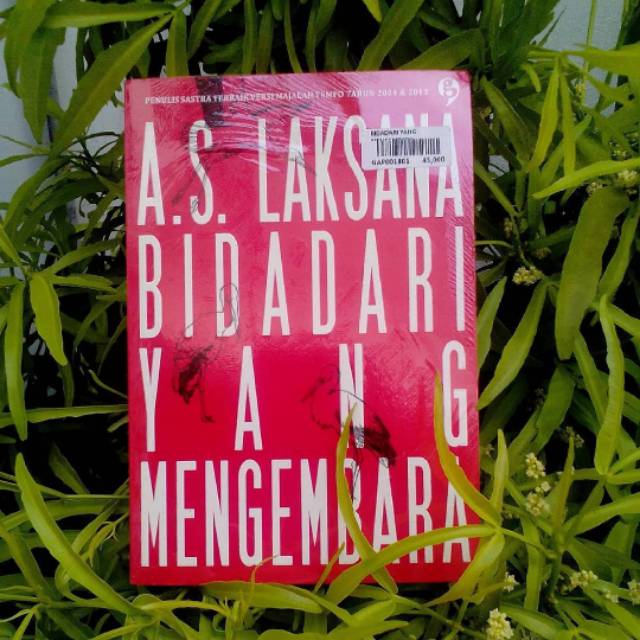 AS Laksana Bidadari Yang Mengembara
