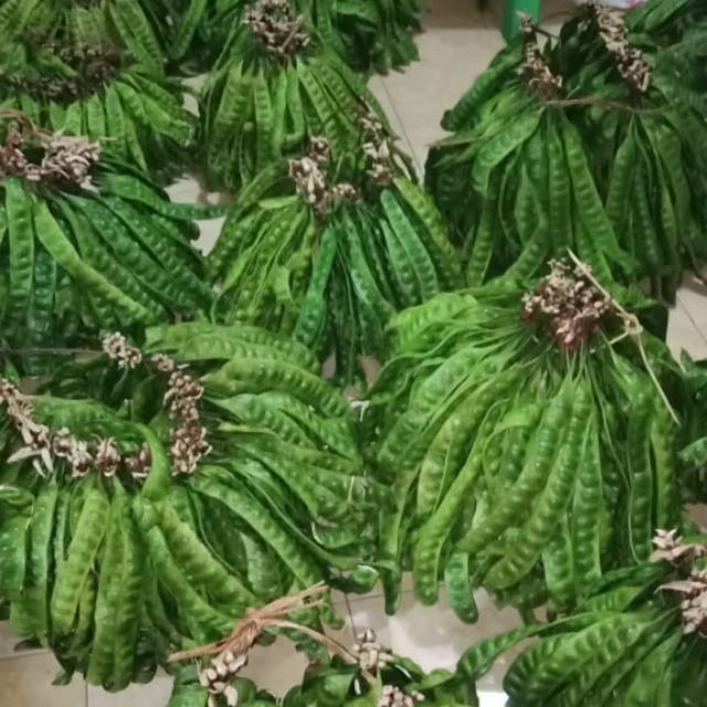 

Pete medan. Asli dari kampung. Masi fres