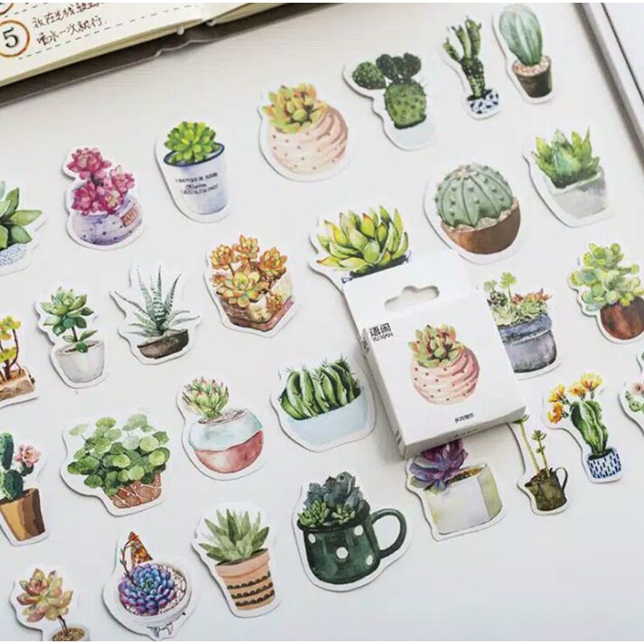 

50pcs aesthetic stiker box Succulent Plants lucu utk dekorasi scrapbook/album