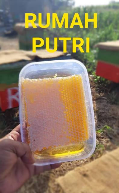 [COD]Madu sarang asli murni (ORIGINAL)epis melifera netto 250 gram madu manis sehat