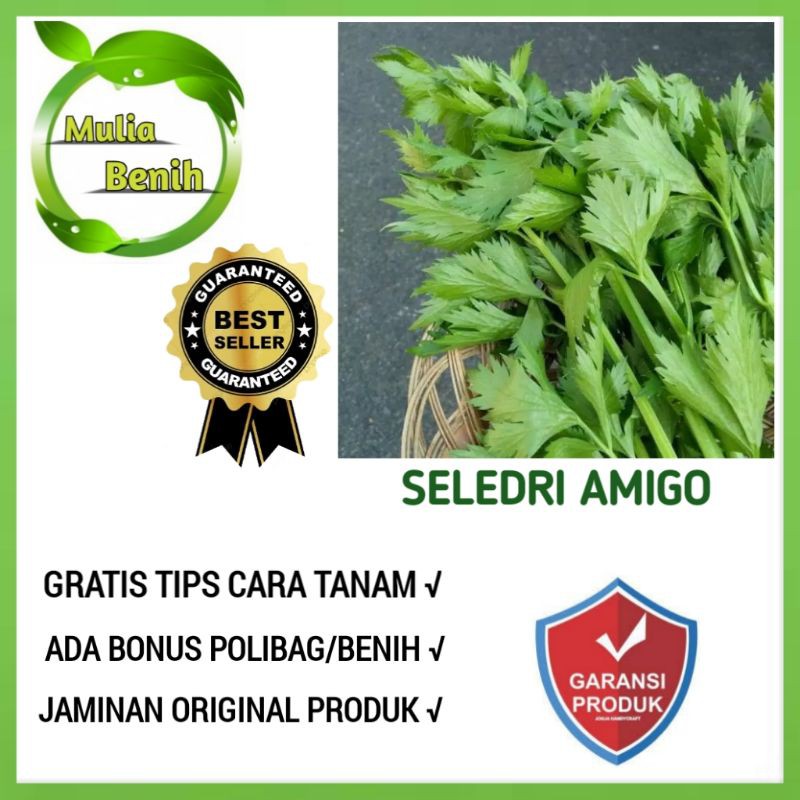 Isi 200 Biji - Benih Seledri AMIGO CAP PANAH MERAH - Bibit Tanaman Sayur Sayuran Daun Seledri Celery