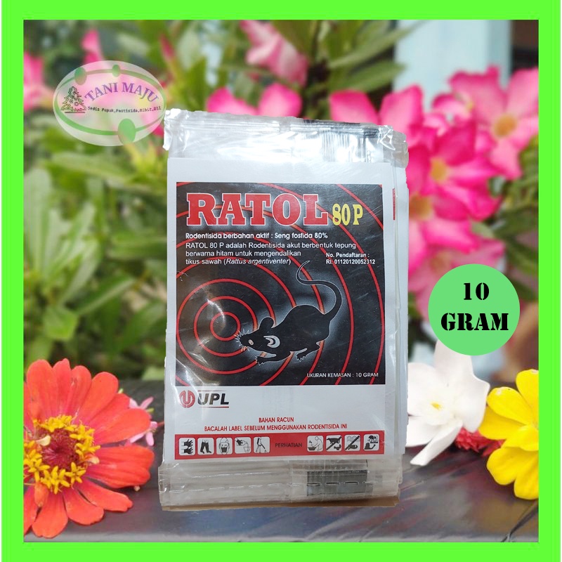 Racun Tikus Ratol 80 p Seperti KOVINPLUS DAN RATCELL