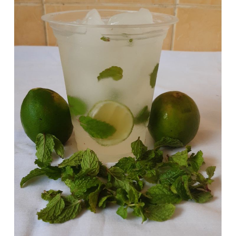 

Lime Mojito