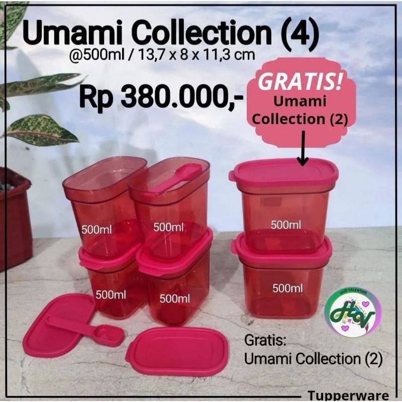 umami collection 6pcs tempat bumbu bumbu container