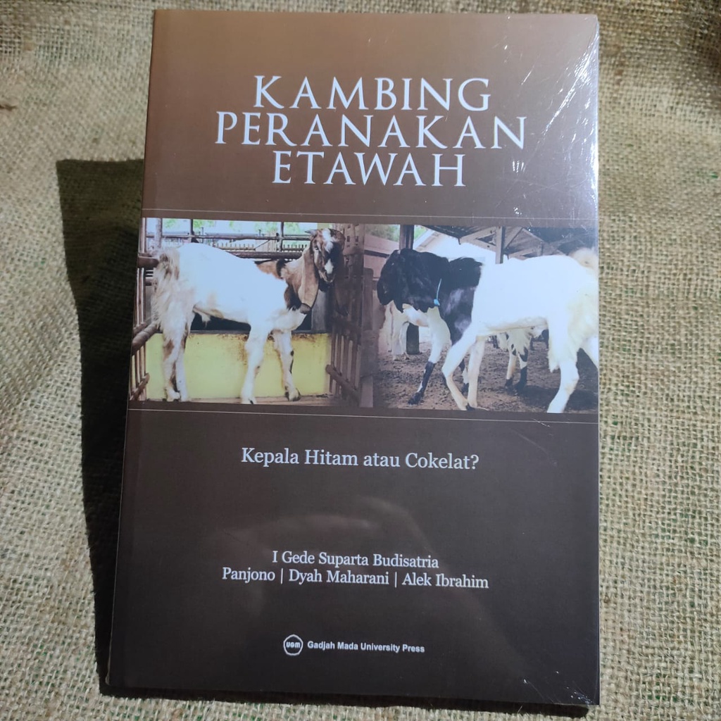 Kambing Peranakan Etawa