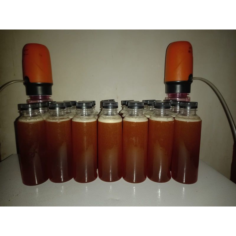 

MADU KELANCENG ORIGINAL