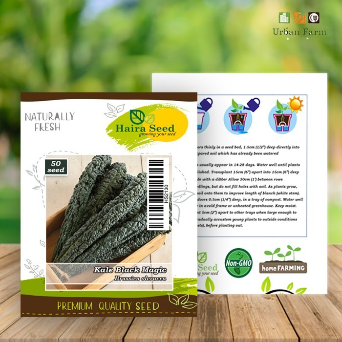 Bibit-Biji Kale Black Magic (Haira Seed)