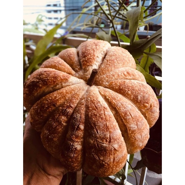 

Sourdough Pumpkin rustic bread